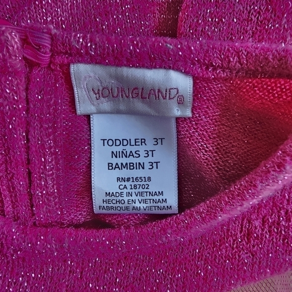 Youngland Dress with Layered Tulle Skirt and Sparkle Knit Top, Size 3T - Picture 9 of 10